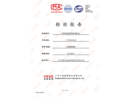Inspection report