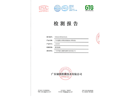 Inspection report