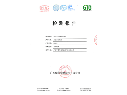 Inspection report